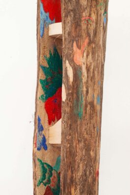 Barbora Šaroun Šemberová