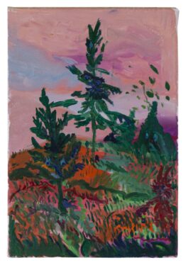 Barbora Šaroun Šemberová