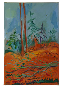 Barbora Šaroun Šemberová