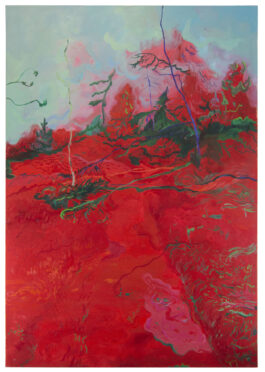 Barbora Šaroun Šemberová