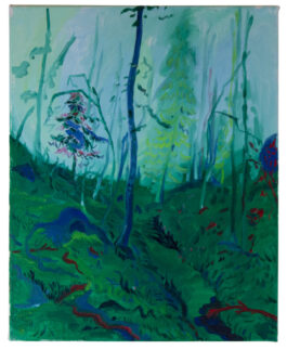 Barbora Šaroun Šemberová