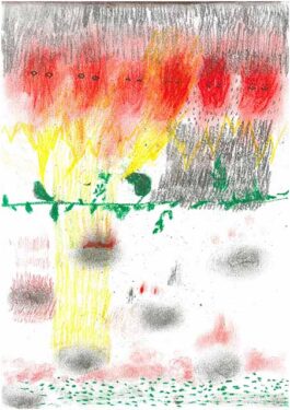 Barbora Šaroun Šemberová