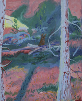 Barbora Šaroun Šemberová