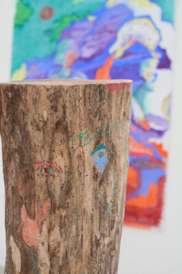 Barbora Šaroun Šemberová