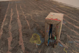 Barbora Šaroun Šemberová