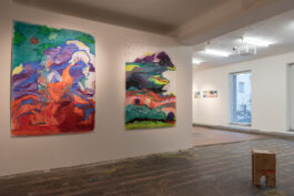 Barbora Šaroun Šemberová