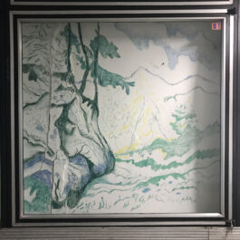 Barbora Šaroun Šemberová