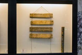 Barbora Šaroun Šemberová