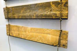 Barbora Šaroun Šemberová