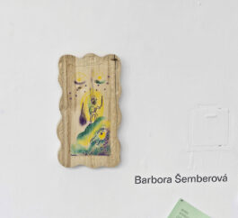 Barbora Šaroun Šemberová