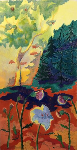 Barbora Šaroun Šemberová