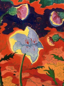 Barbora Šaroun Šemberová